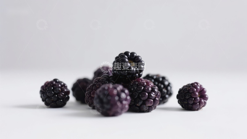 高清大图下载【趣麦麦图】新鲜黑莓散落于白色背景