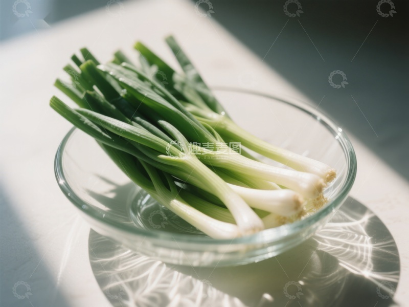 高清大图下载【趣麦麦图】-阳光下的青葱