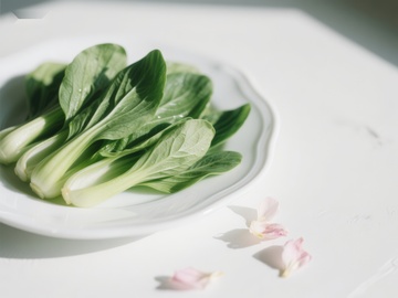 清新小白菜与花瓣的静谧组合