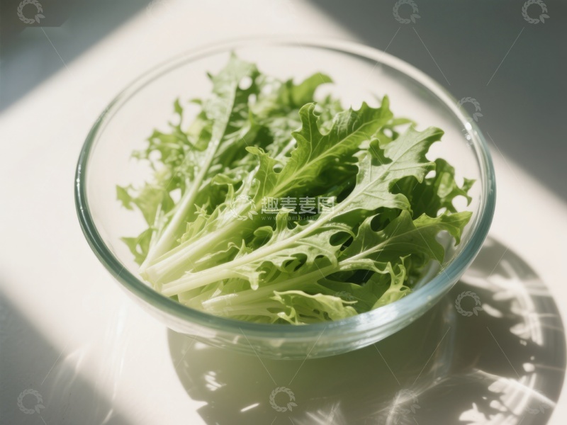 高清大图下载【趣麦麦图】阳光下的新鲜生菜