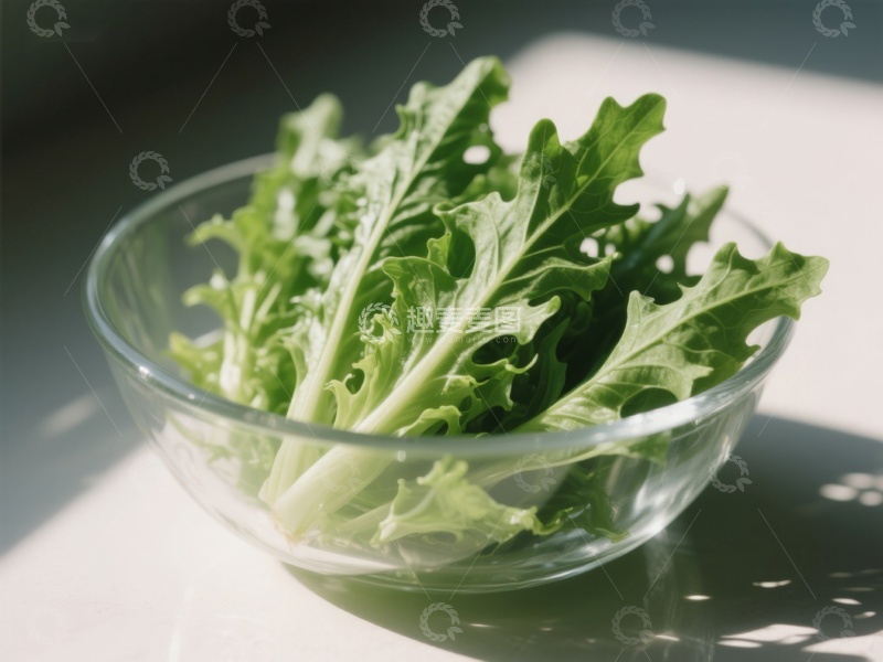高清大图下载【趣麦麦图】新鲜生菜置于透明碗中