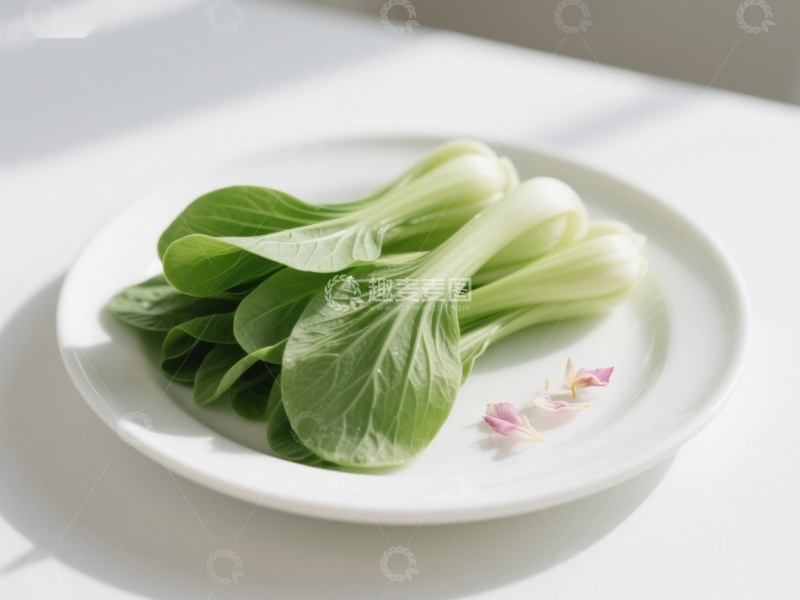 高清大图下载【趣麦麦图】新鲜青菜置于白色盘中