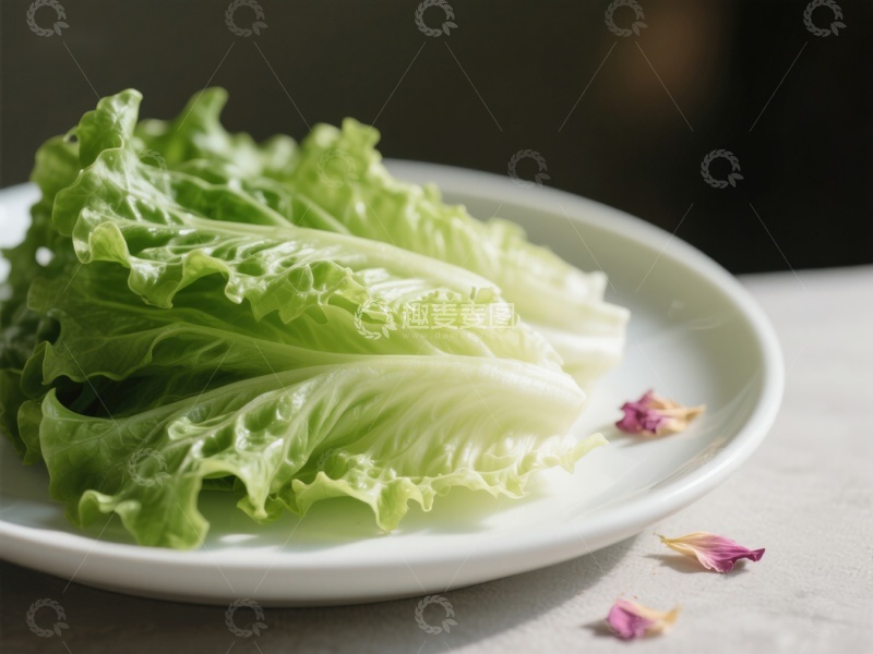 高清大图下载【趣麦麦图】新鲜生菜置于白色盘中