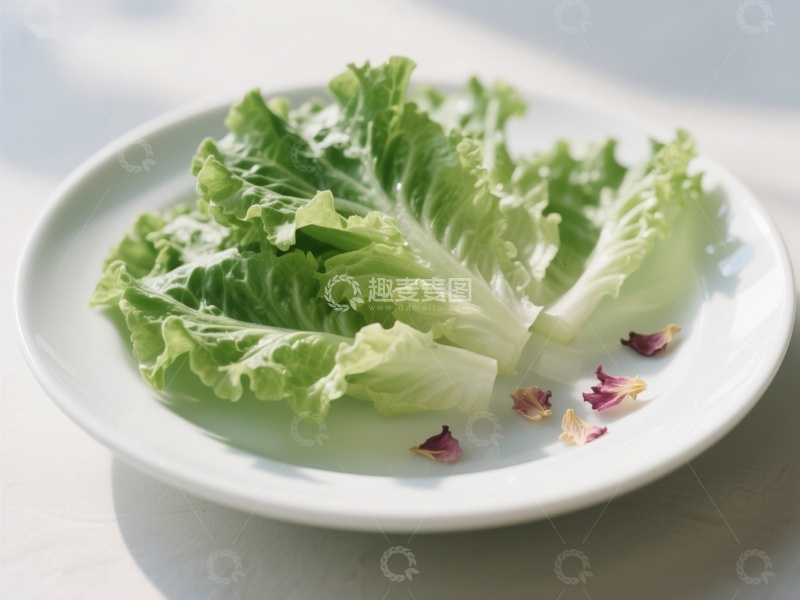 高清大图下载【趣麦麦图】新鲜生菜置于白色盘中