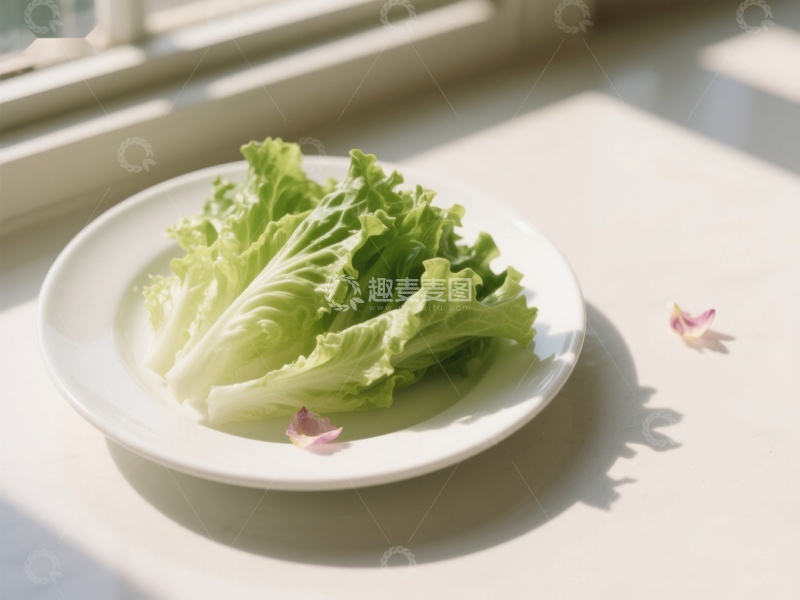 高清大图下载【趣麦麦图】新鲜生菜置于白色盘中，阳光洒落