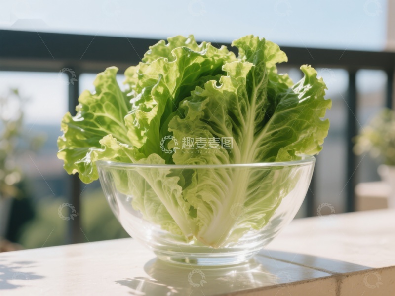 高清大图下载【趣麦麦图】新鲜生菜置于透明碗中