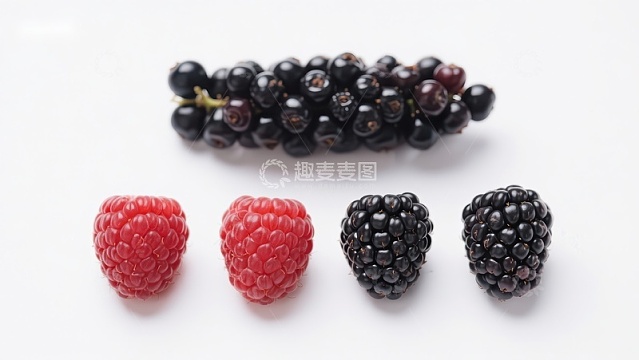新鲜浆果对比：覆盆子与黑莓