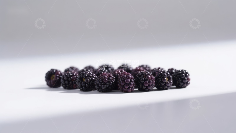 高清大图下载【趣麦麦图】新鲜黑莓排列在白色背景上