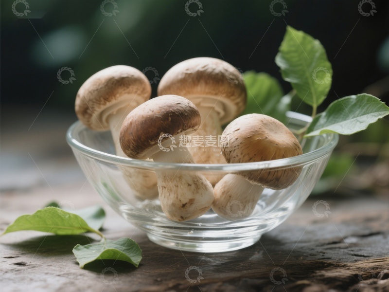 高清大图下载【趣麦麦图】玻璃碗中的新鲜蘑菇