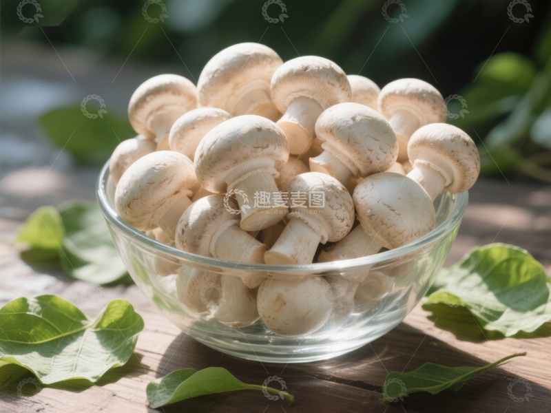 高清大图下载【趣麦麦图】新鲜蘑菇盛于玻璃碗中
