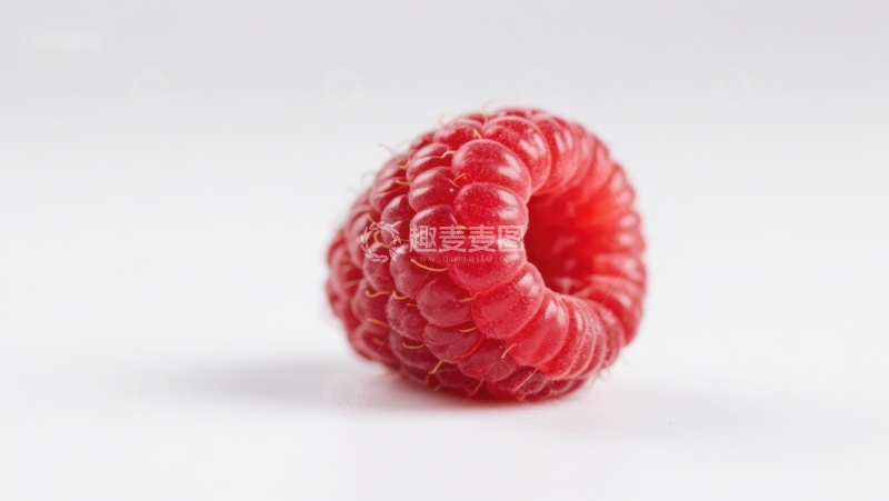 高清大图下载【趣麦麦图】新鲜红莓特写