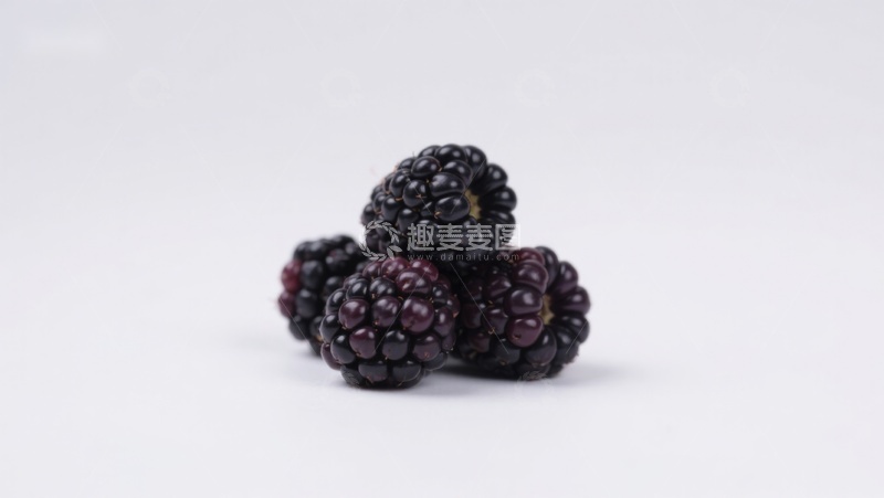 高清大图下载【趣麦麦图】新鲜黑莓特写