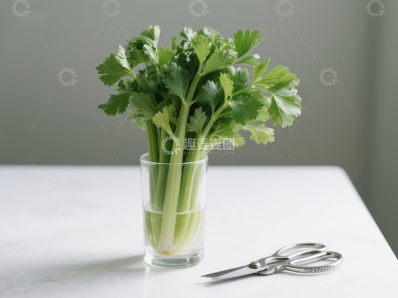 水培芹菜与剪刀静物