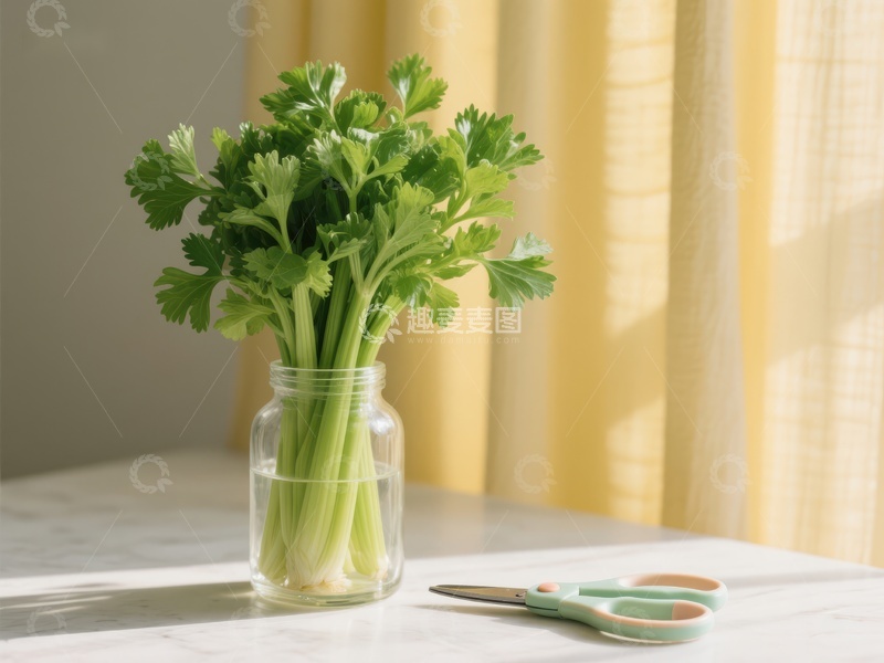 芹菜置于玻璃瓶中，旁配剪刀