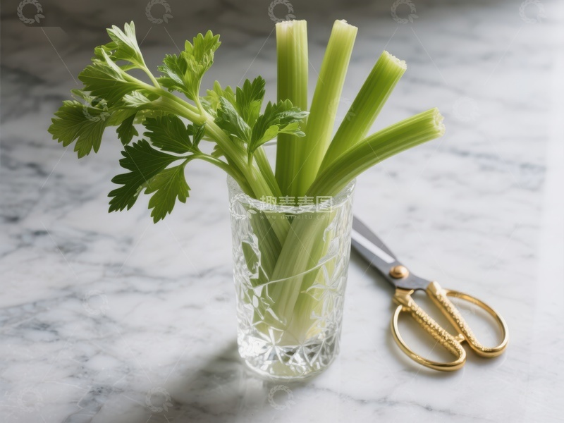 高清大图下载【趣麦麦图】新鲜芹菜置于玻璃杯中