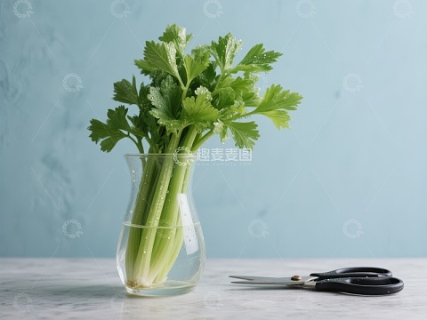 水培芹菜与剪刀静物图