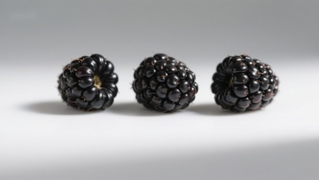 三颗黑莓果并排展示