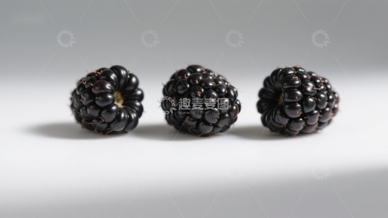高清大图下载【趣麦麦图】三颗黑莓果并排展示