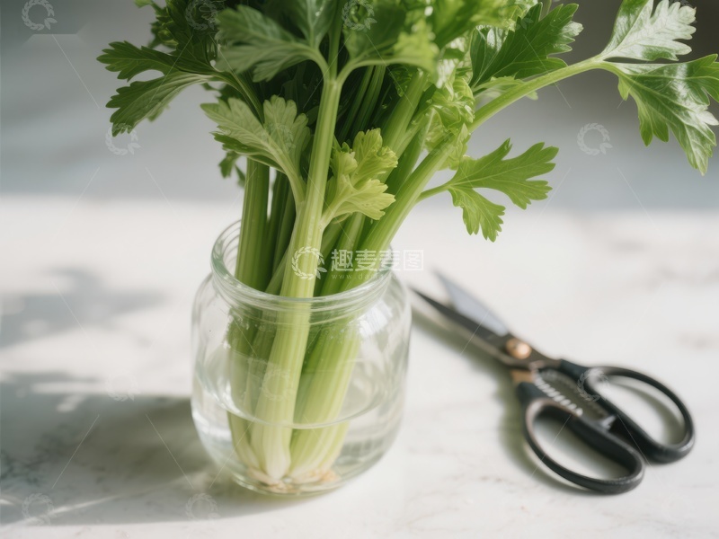新鲜芹菜置于玻璃杯中