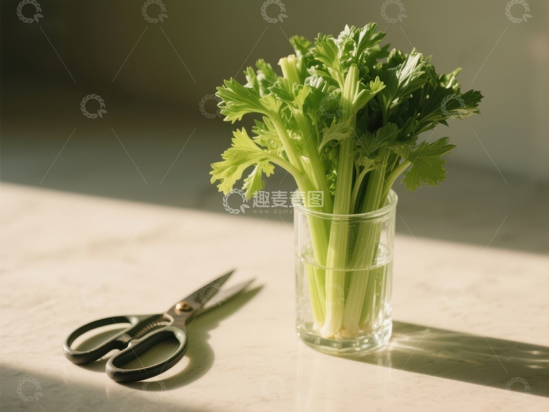 高清大图下载【趣麦麦图】阳光下的芹菜与剪刀