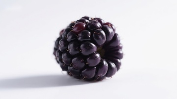 新鲜黑莓特写