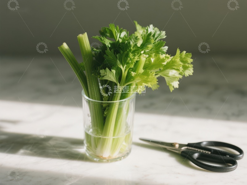 高清大图下载【趣麦麦图】新鲜芹菜置于玻璃杯中，旁配剪刀