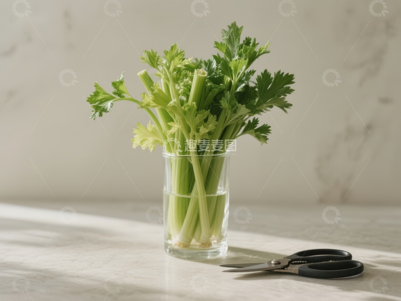 高清大图下载【趣麦麦图】新鲜芹菜置于玻璃杯中