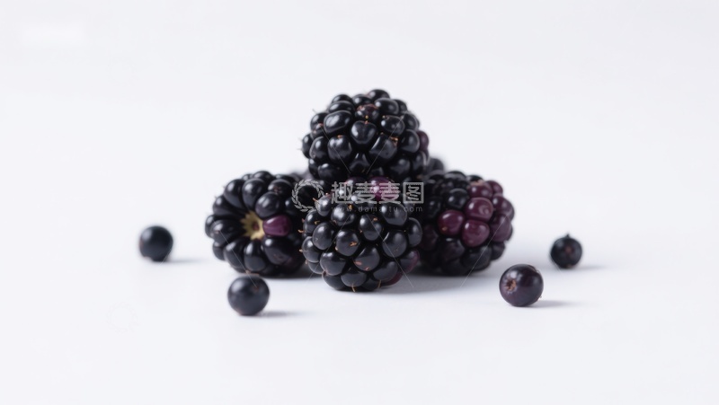 高清大图下载【趣麦麦图】新鲜黑莓堆叠在白色背景上