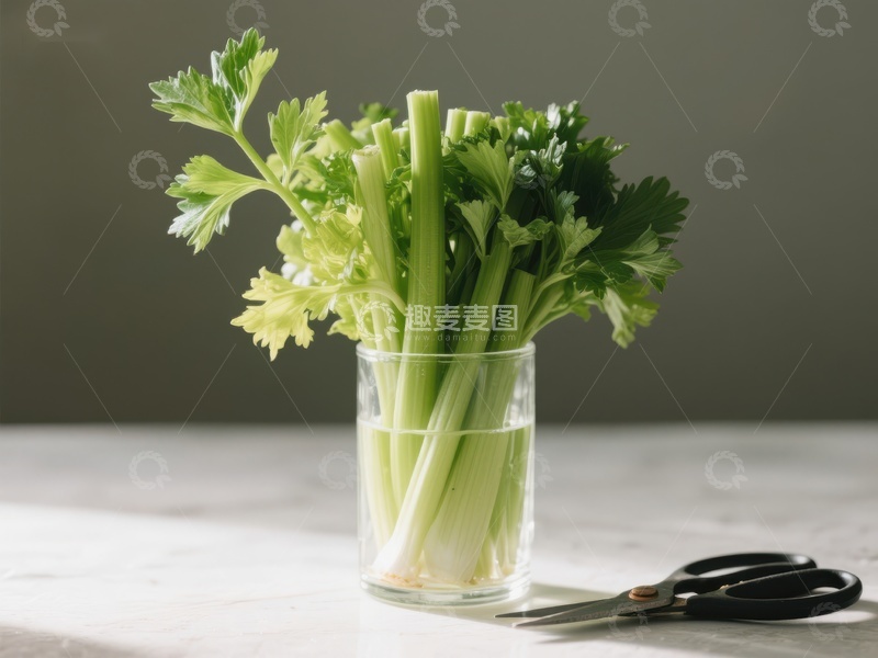 新鲜芹菜置于玻璃杯中