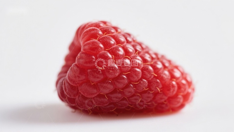 高清大图下载【趣麦麦图】新鲜红莓特写