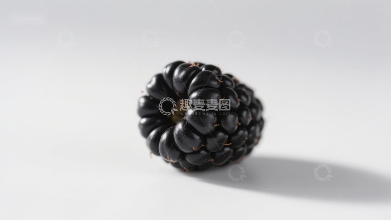 高清大图下载【趣麦麦图】新鲜黑莓静置在白色背景上