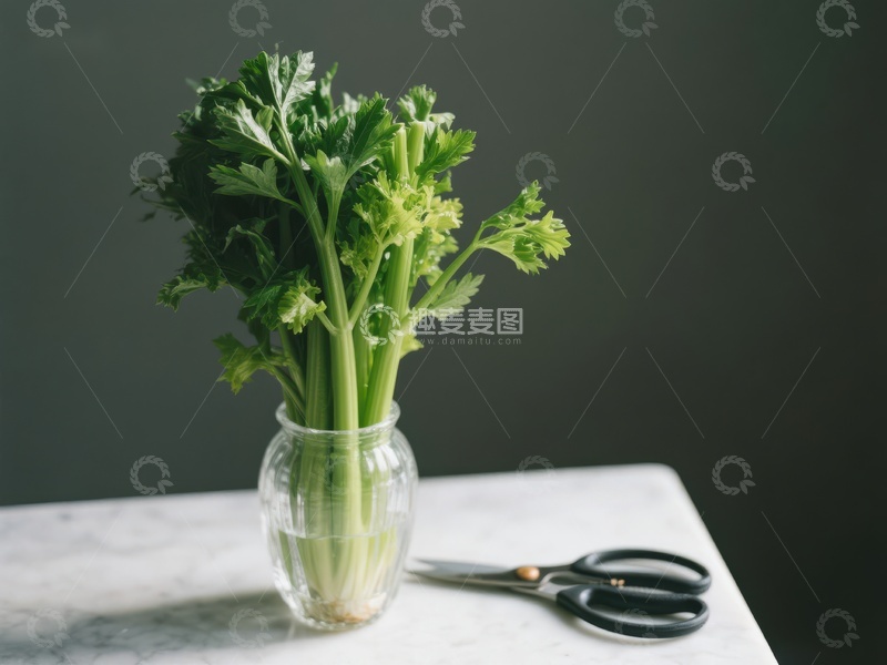 水培芹菜与剪刀静物