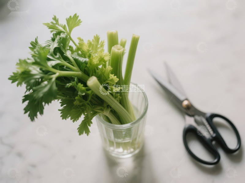 高清大图下载【趣麦麦图】新鲜芹菜置于玻璃杯中，旁置剪刀