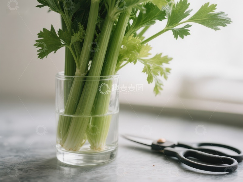 新鲜芹菜置于玻璃杯中