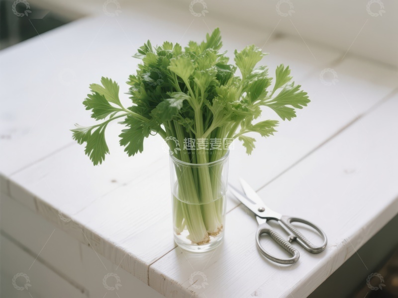 高清大图下载【趣麦麦图】新鲜芹菜置于玻璃杯中，旁配剪刀