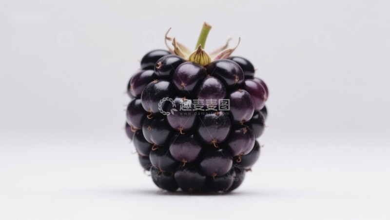 高清大图下载【趣麦麦图】新鲜黑莓特写