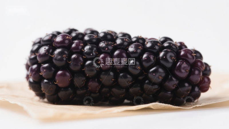 高清大图下载【趣麦麦图】新鲜黑莓特写