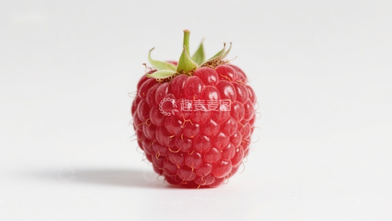 高清大图下载【趣麦麦图】新鲜红莓特写