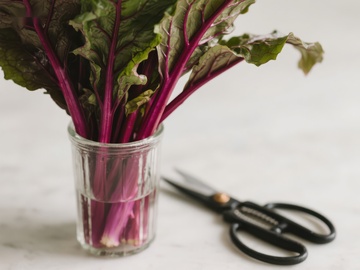 紫茎绿叶蔬菜置于玻璃杯中
