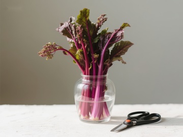 玻璃瓶中的红茎绿叶蔬菜