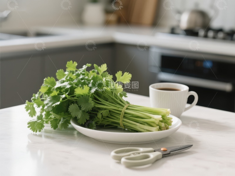 高清大图下载【趣麦麦图】厨房台面上的香菜与咖啡杯