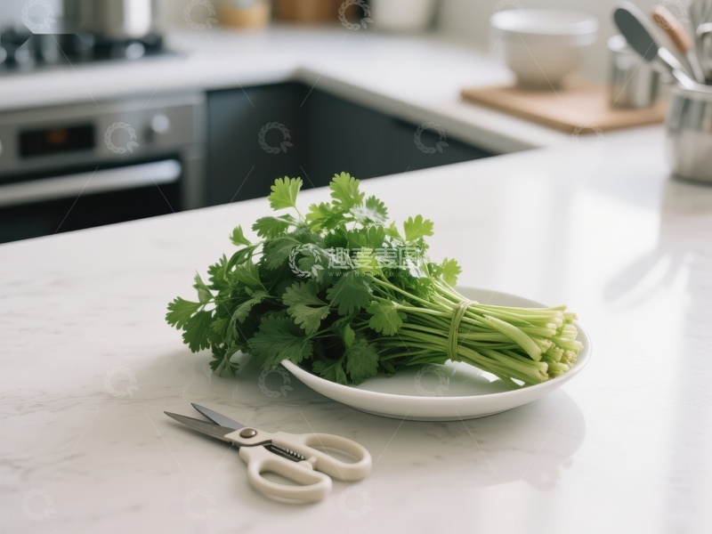 高清大图下载【趣麦麦图】厨房台面上的香菜与剪刀