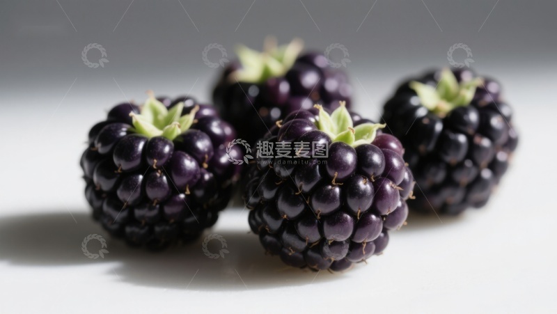 高清大图下载【趣麦麦图】新鲜黑莓特写