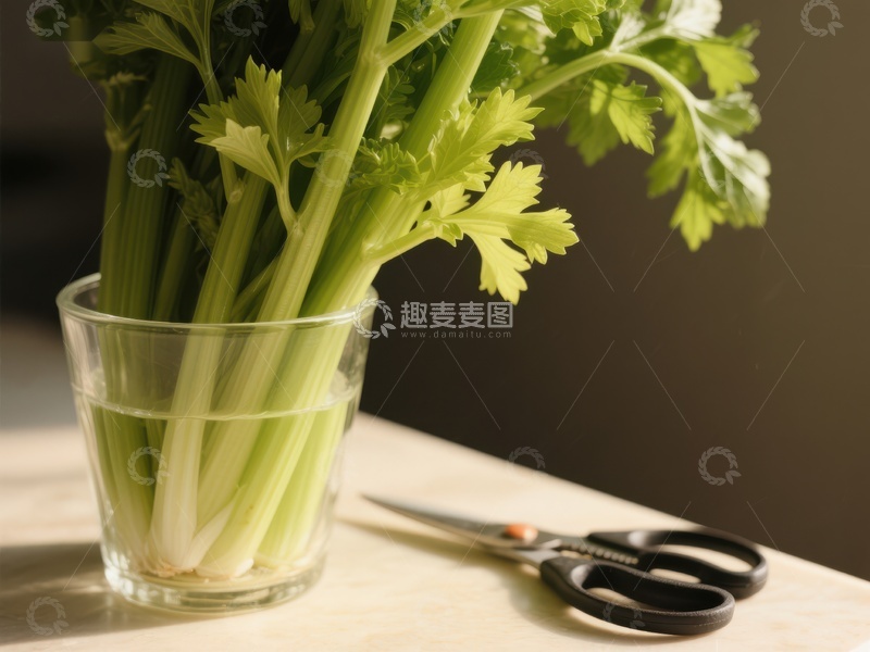 玻璃杯中的芹菜与剪刀