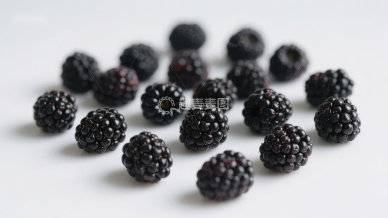高清大图下载【趣麦麦图】新鲜黑莓散落于白色背景