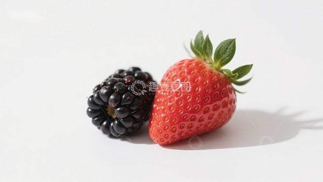 草莓与黑莓的静物对比