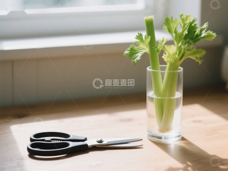 水培芹菜与剪刀的静物组合