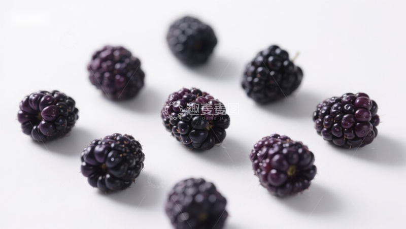 高清大图下载【趣麦麦图】新鲜黑莓散落于白色背景