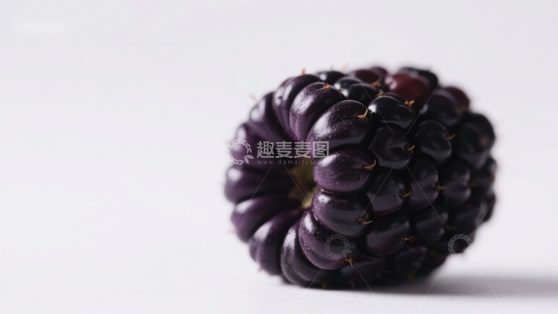 高清大图下载【趣麦麦图】新鲜黑莓特写