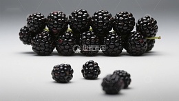 新鲜黑莓静物展示